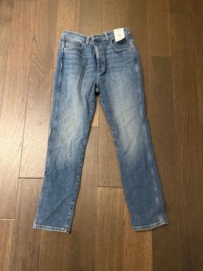 Madewell The Pencil Jean in Medium Blue Wash